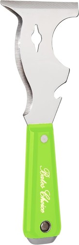 Bates paint scraper - scraper,, 10