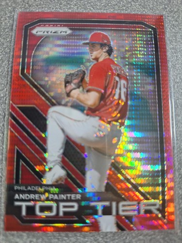 Andrew painter 2024 panini - andrew,